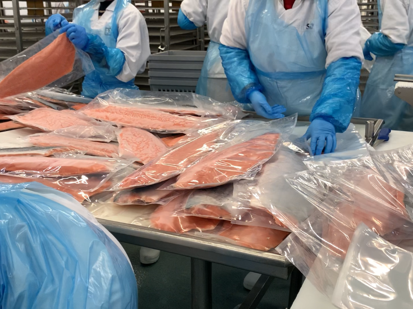 Job offer: Fish Processing Worker