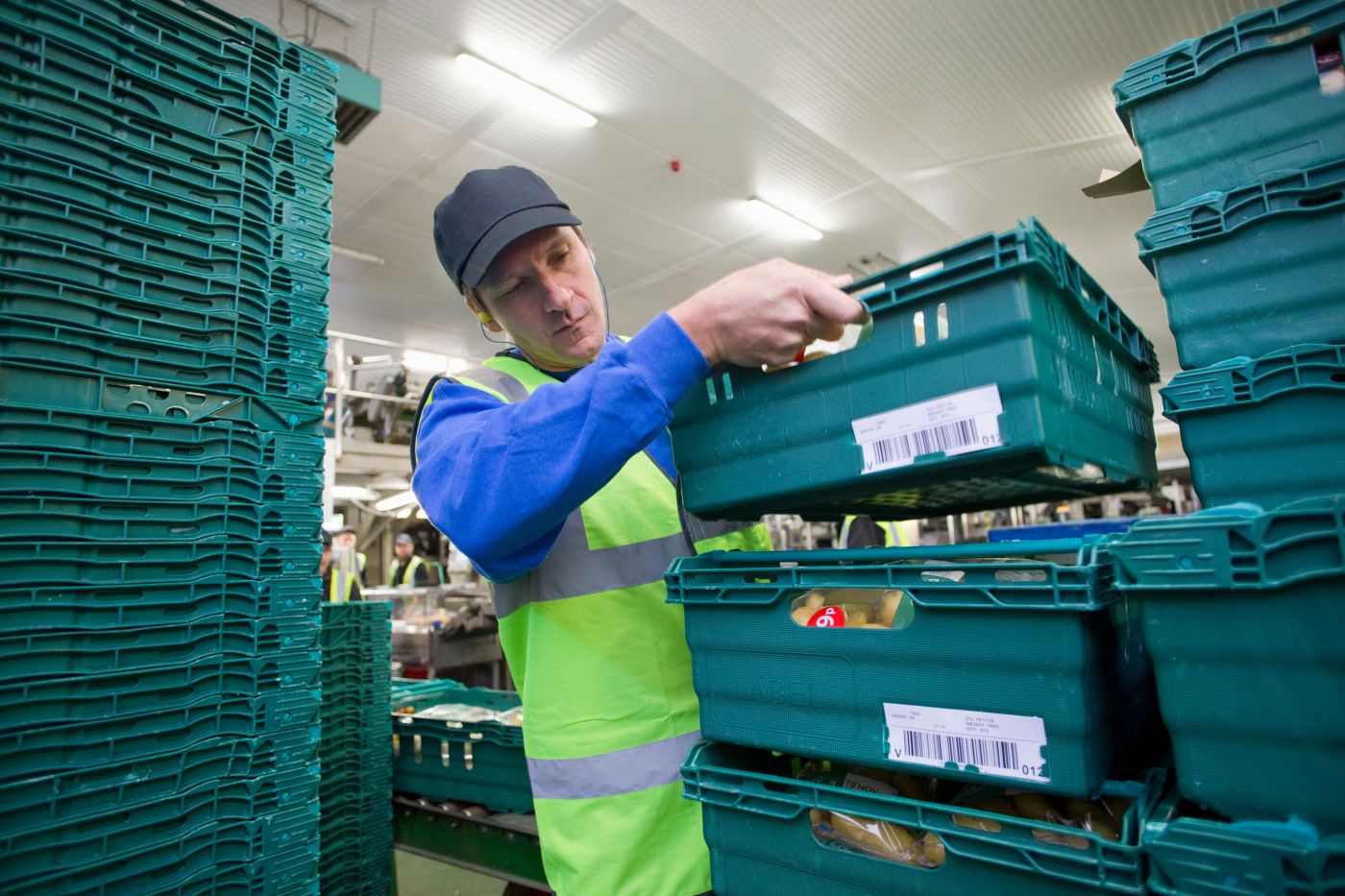 Job offer: Physical Worker – Stacking Vegetable Crates