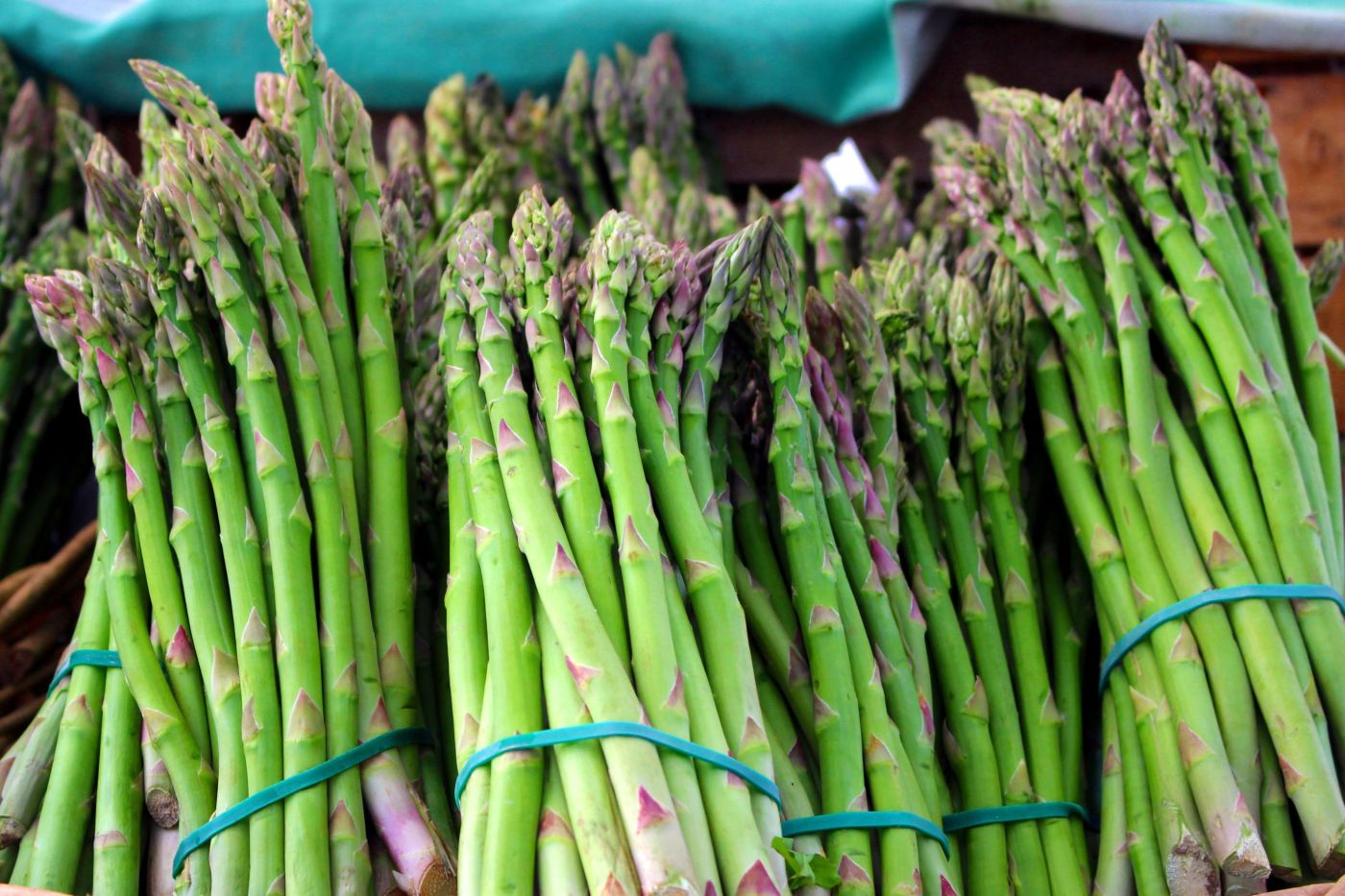 Oferta pracy: Pracownik sortowni szparagów