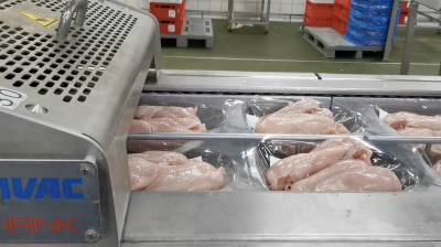 Workplace photo 2 of 40 - Production Worker – poultry processing and packing duties