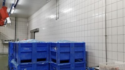 Workplace photo 30 of 40 - Production Worker – poultry processing and packing duties