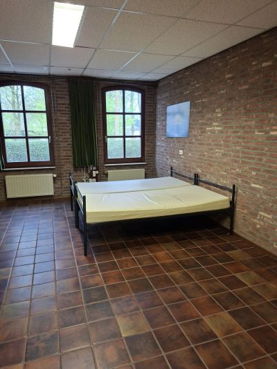 Accommodation photo 9 of 13 - Pracownik szkółki z kwiatami ozdobnymi