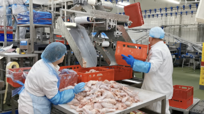 Workplace photo 16 of 40 - Production Worker – poultry processing and packing duties