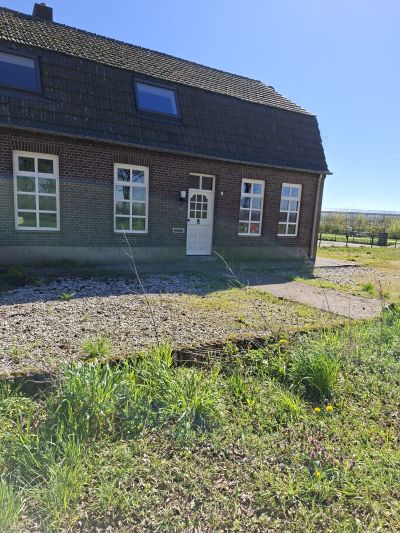 Accommodation photo 8 of 13 - Pracownik szkółki z kwiatami ozdobnymi