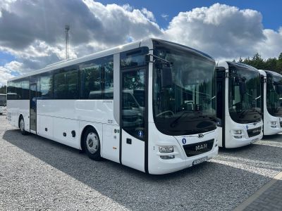 Job offer: Kierowca autobusu - Ściechów, Polska