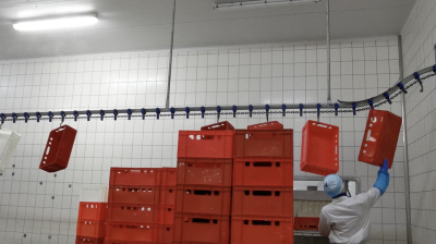 Workplace photo 28 of 40 - Production Worker – poultry processing and packing duties