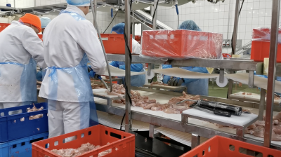 Workplace photo 8 of 40 - Production Worker – poultry processing and packing duties