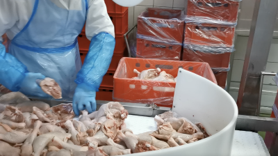 Workplace photo 6 of 40 - Production Worker – poultry processing and packing duties