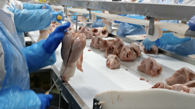 Workplace photo 12 of 40 - Production Worker – poultry processing and packing duties