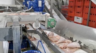 Workplace photo 14 of 40 - Production Worker – poultry processing and packing duties