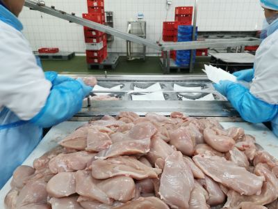 Workplace photo 35 of 40 - Production Worker – poultry processing and packing duties