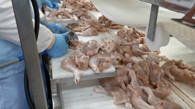 Workplace photo 7 of 40 - Production Worker – poultry processing and packing duties