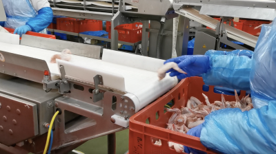 Workplace photo 17 of 40 - Production Worker – poultry processing and packing duties