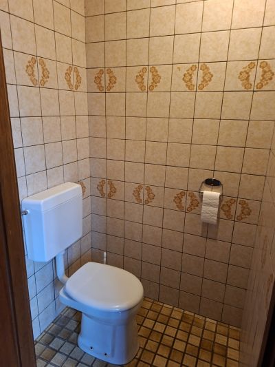 Accommodation photo 5 of 13 - Pracownik szkółki z kwiatami ozdobnymi