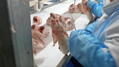 Workplace photo 13 of 40 - Production Worker – poultry processing and packing duties