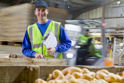 Job offer: Fruit and Vegetable Warehouse Worker - Venlo