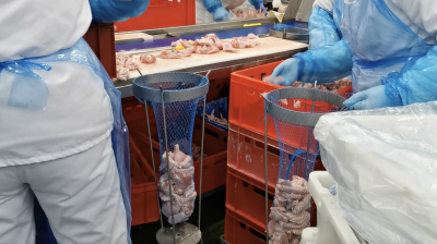 Workplace photo 18 of 40 - Production Worker – poultry processing and packing duties