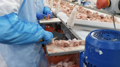 Workplace photo 15 of 40 - Production Worker – poultry processing and packing duties